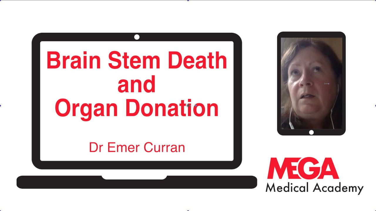 Brain Stem Death and Organ Donation