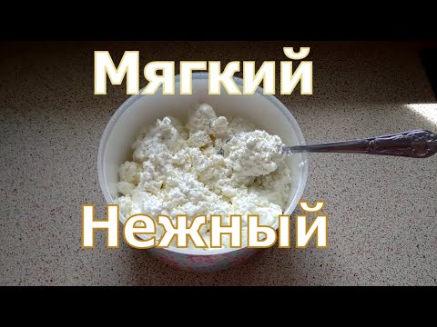 Творог из козьего молока