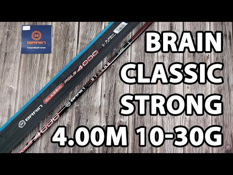Махове вудлище Brain Classic Strong 4.00m 10-30g (телескопічне, без кілець) + чохол
