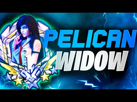 Pelican Rank 1 Korean Widow - 46 elims! [ Overwatch Season 35 Top 500 ]