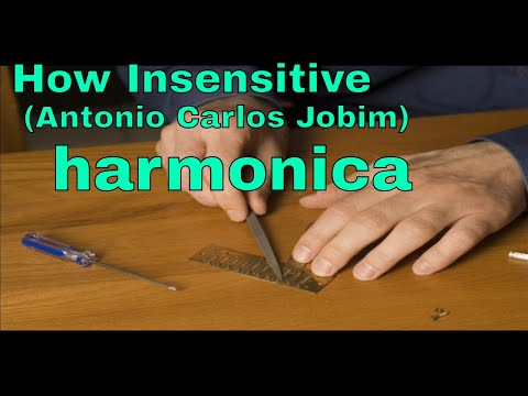 How Insensitive (Chopin - Jobim) - harmonica diatonique - interprétation HarmoChopin
