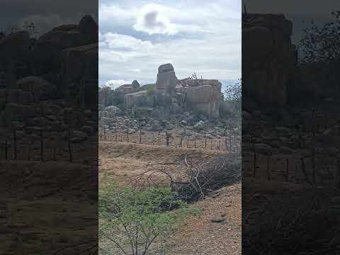 O QUE VOCÊ VER NESSA IMAGEM? #shorts