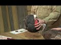 Primos Lil' Gobbstopper Hen & Jake Turkey Decoy