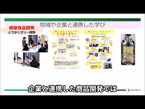 健康栄養学部　学びの体験講座　実践的な学び