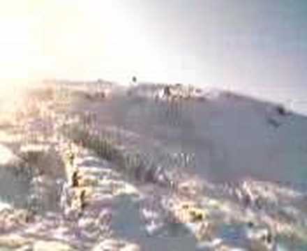 COTOROIA-MEHEDINTI 2007