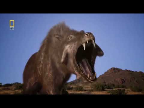 Killer Pig Entelodon (Daeodon) vs Hyaenodon | Prehistoric Predators Episode 6