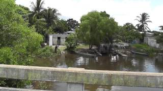 preview picture of video 'Entrada a los Pantanos de Centla [Full HD]'