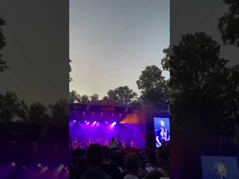 Divokej Bill Vstávej (Karpaty fest 2.7.2022 Slavičín)