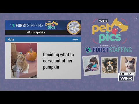 Pet Pics for Oct. 28: Mia, Nala, Shiloh - YouTube
