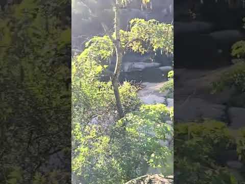 Cascada Tanti- Córdoba ( 2da parte) #viral #tendencias #love #paisajesincreíbles  @ap.turismook