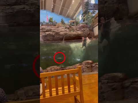 I always dreamed of doing this 😱(via bsweeney)