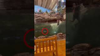 I always dreamed of doing this 😱(via bsweeney)