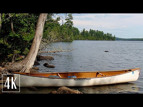 4K River Canoeing - Birds Singing - Water Sounds - Paddling a Canoe Relaxing Nature Video - NO LOOP