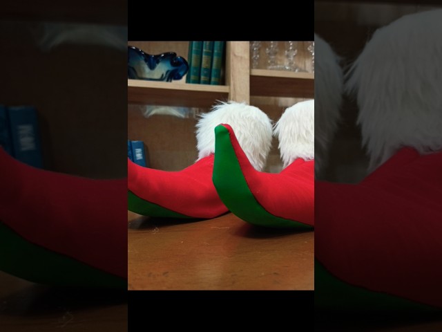 Vídeo relacionado con ZAPATOS DE ELFO BOTAS CON EXTREMOS RELLENOS EN TAMAÑOS PARA ADULTOS - DISFRACES DE NAVIDAD ACCESORIO DE ZAPATO ELFO EL PEQUEÑO AYUDANTE DE SANTA VERDE ROJO FUNDAS DE ZAPATOS DE DUENDE