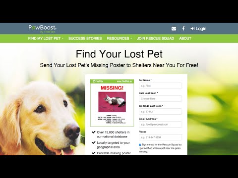 Pawboost Chattanooga