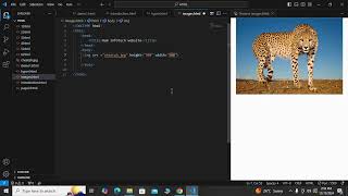Download the video "ASSIGNMENT 3: IMAGES IN HTML"