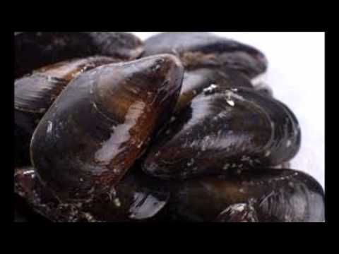 pourquoi les moules ne s'ouvrent pas a la cuisson