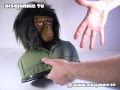 The Planet Of The Apes Ultimate DVD Collection Limited Edition Ape Head Box R2UK