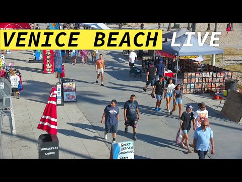 ???? Venice Beach Live Camera · Los Angeles Live Stream · presented by the Venice V Hotel