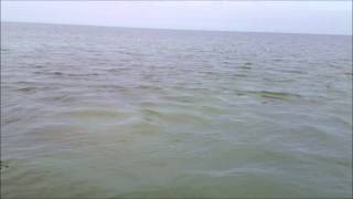 preview picture of video 'Fairhope Wastewater Outfall Near Beach'