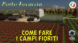 Fare campi fioriti in una periferia elegante in cities Skylines 2