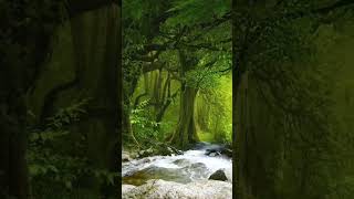 Download lagu Musik yang menenangkan untuk meditasi dan relaksasi. mp3