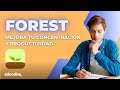 FOREST APP: Mejora tu concentración y productividad