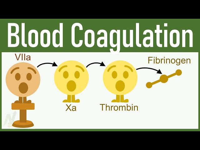 Video Pronunciation of Thrombin in English