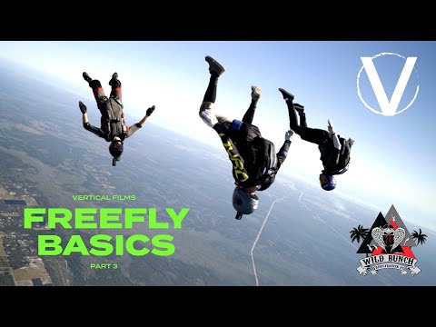 Freefly Basics 2025: The Final one