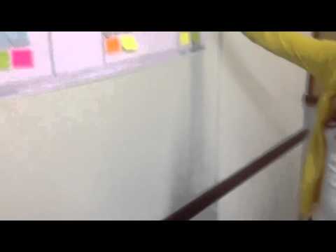 Portfólio Model Canvas e BUSINESS MODEL CANVAS