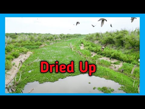 The Frio River Has STOPPED FLOWING - A Texas Icon in CRISIS 5/27/25