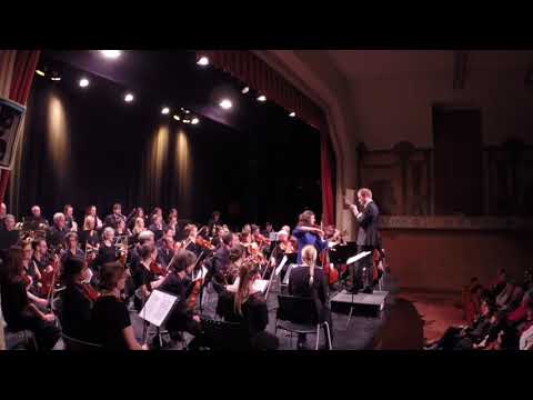 Sibelius — Concerto pour violon (extrait)