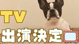放送日が決まりました！✨