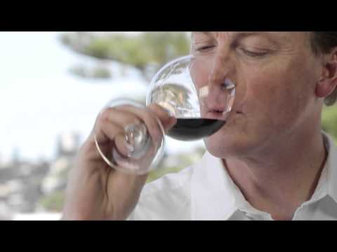 Why is Taylors Wines St Andrews Cabernet Sauvignon 2010 so unique?