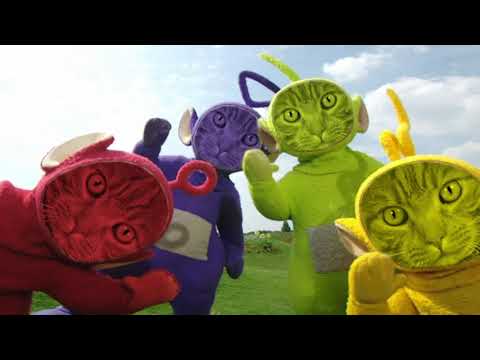 Teletubbies but with cats