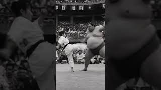 sumo vs