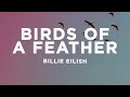Billie Eilish BIRDS OF A FEATHER Lyrics