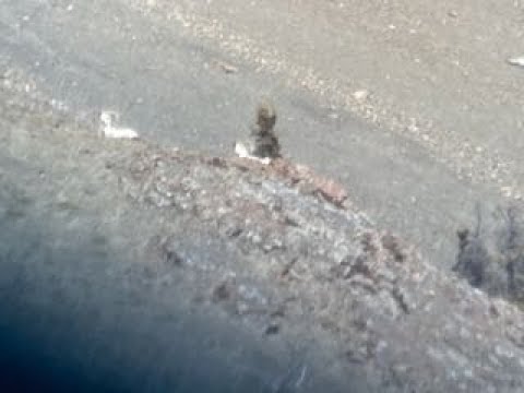 Secondary Rifle  25 06 vs 30 06 vs 7mm Rem Mag   HD 1080p