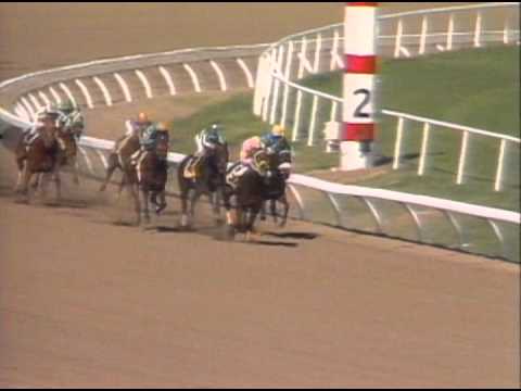 1984 Breeders' Cup Sprint