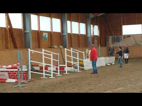 Cadlanvalley Sir Ivanhoe