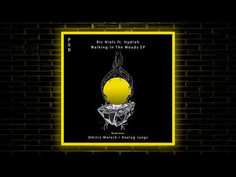 Ric Niels ft. Hydrah - Walking In The Woods (Analog Jungs Remix) [Plaisirs Sonores Records]