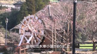 preview picture of video '徳島 神山町 農村ふれあい公園'