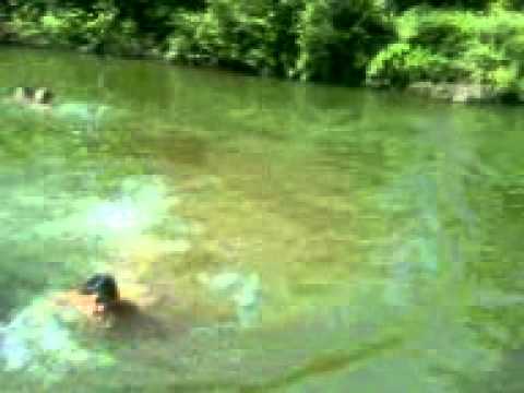 obreja caras severin