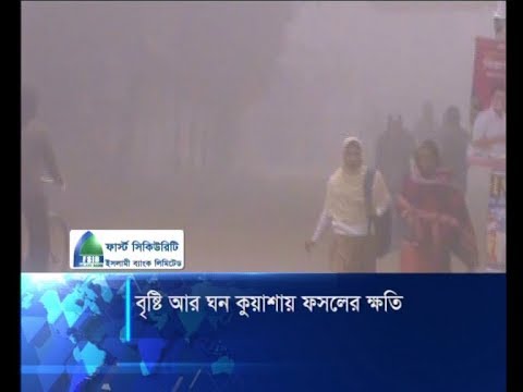 বেড়েছে শীতজনিত রোগীর সংখ্যা, বৃষ্টি আর কুয়াশায় ফসলের ক্ষতি | ETV News