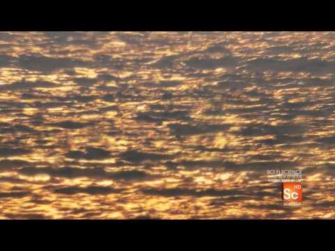 Miracle Planet HD - Part VI: Life Indestructible