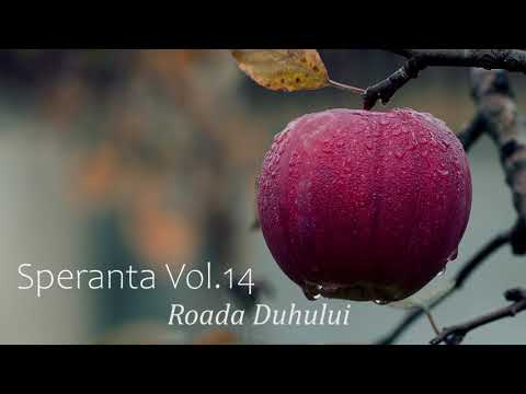 Speranta - Roada Duhului - Marius Gorcea