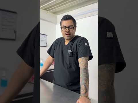 200 esterilizaciones a perros y gatos en condición de calle y en situación de vulnerabilidad.