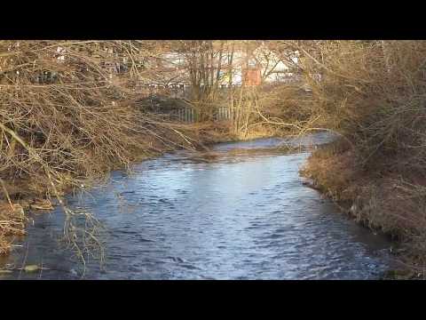 Ein Hauch von Frühling über Gummersbach