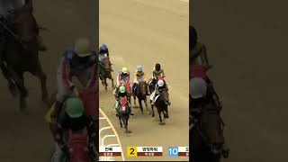 22.5배적중  ,1-6복연승