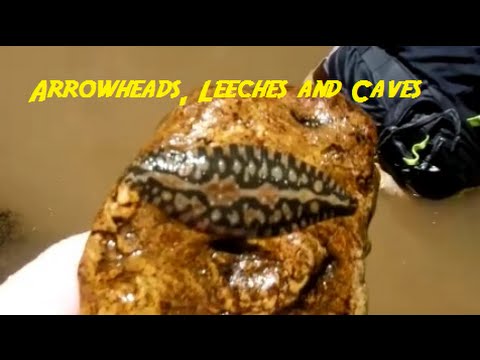 Arrowhead Hunting - More Success on the Creek - Arrowheads, Leeches and Caves Video